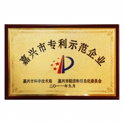 嘉興市專利示范企業