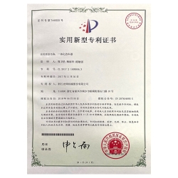 實(shí)用新型專利 (3)